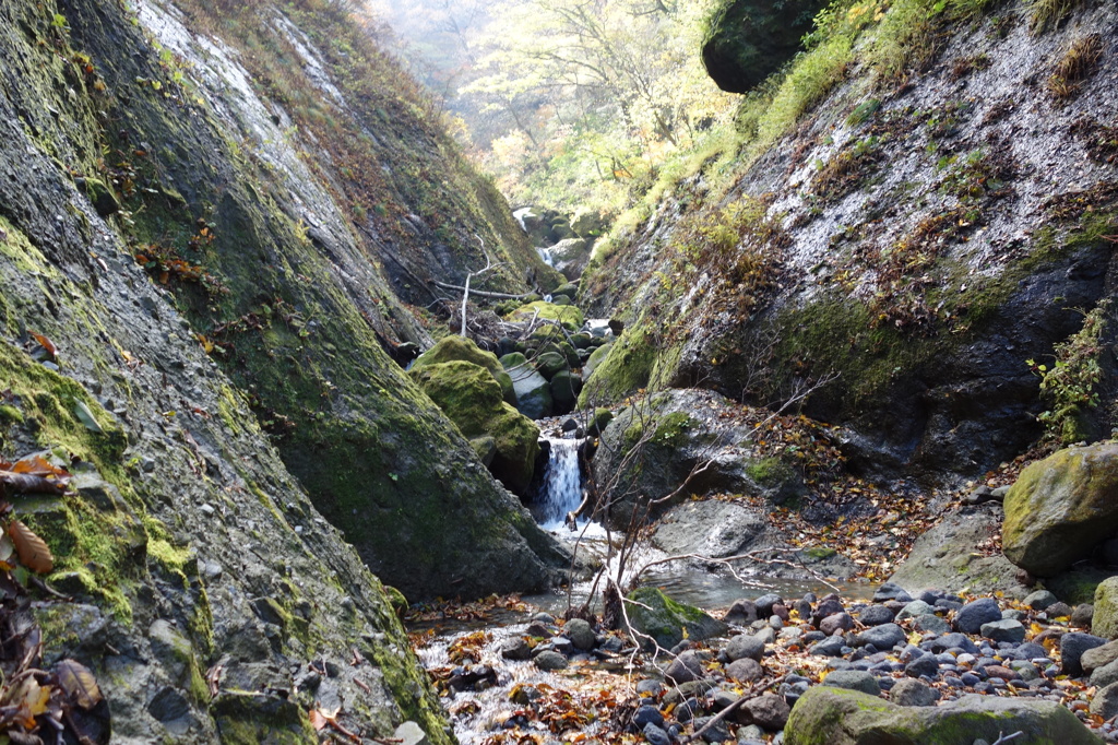 DSC04723
