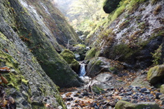 DSC04723