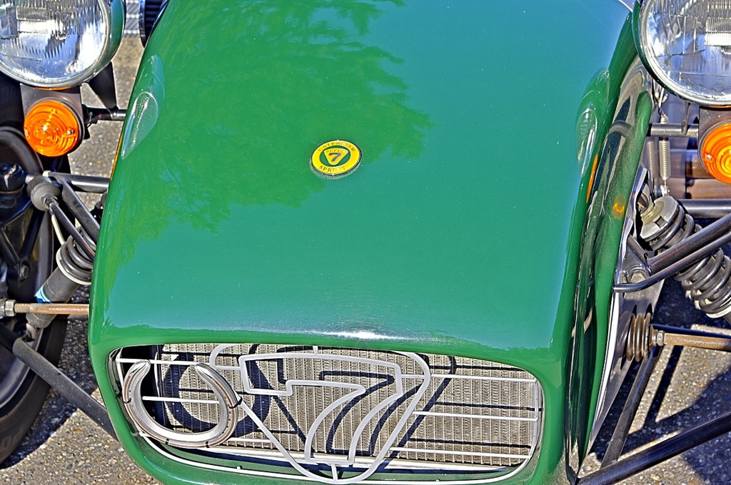Frog (7)