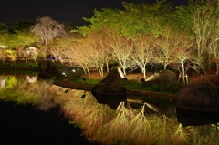 GOLDEN POND