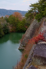 伊賀上野城　高石垣