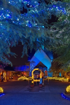 ILLUMINATION Ⅰ