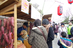 IMGP0017