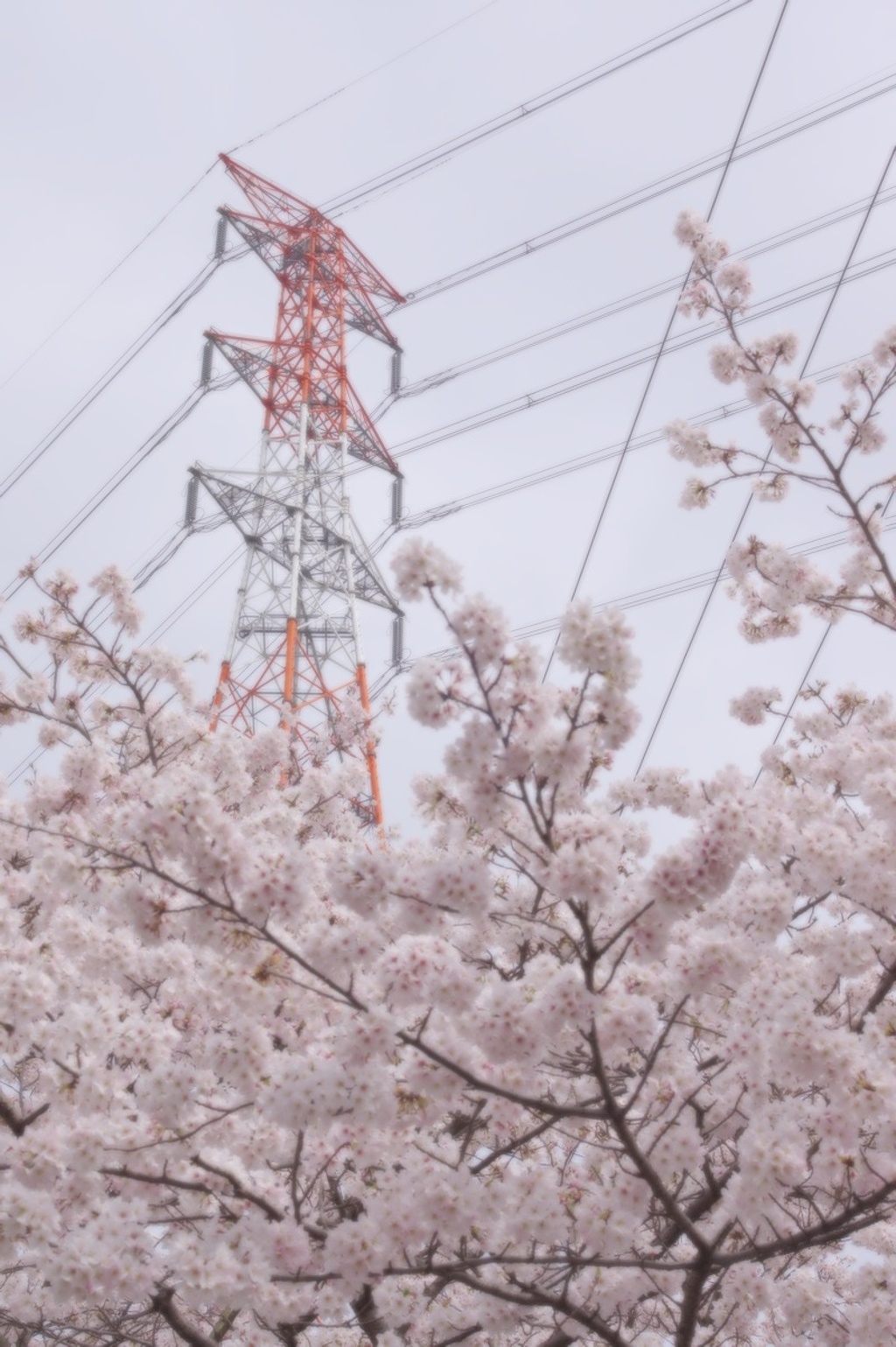 LINE TOWER