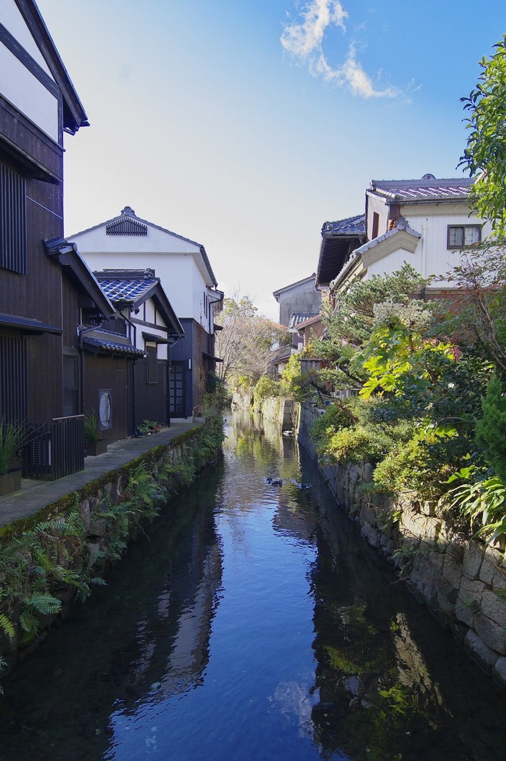 米川沿い