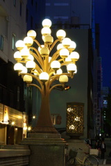IMGP0041