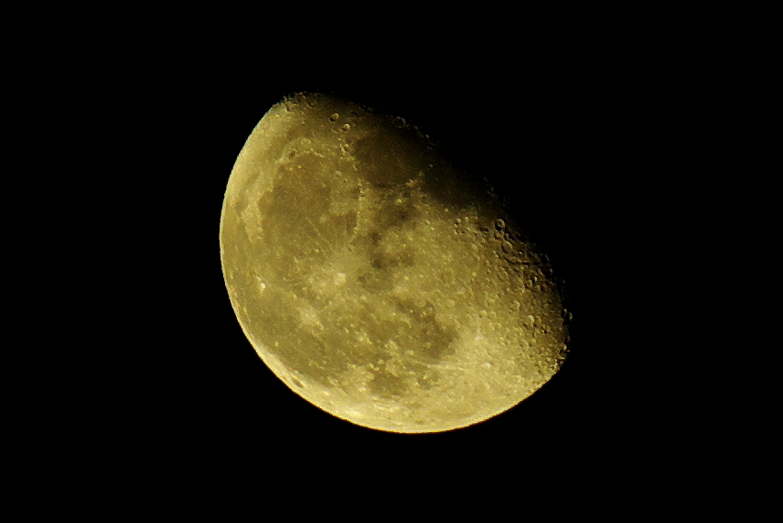 MOON FACE