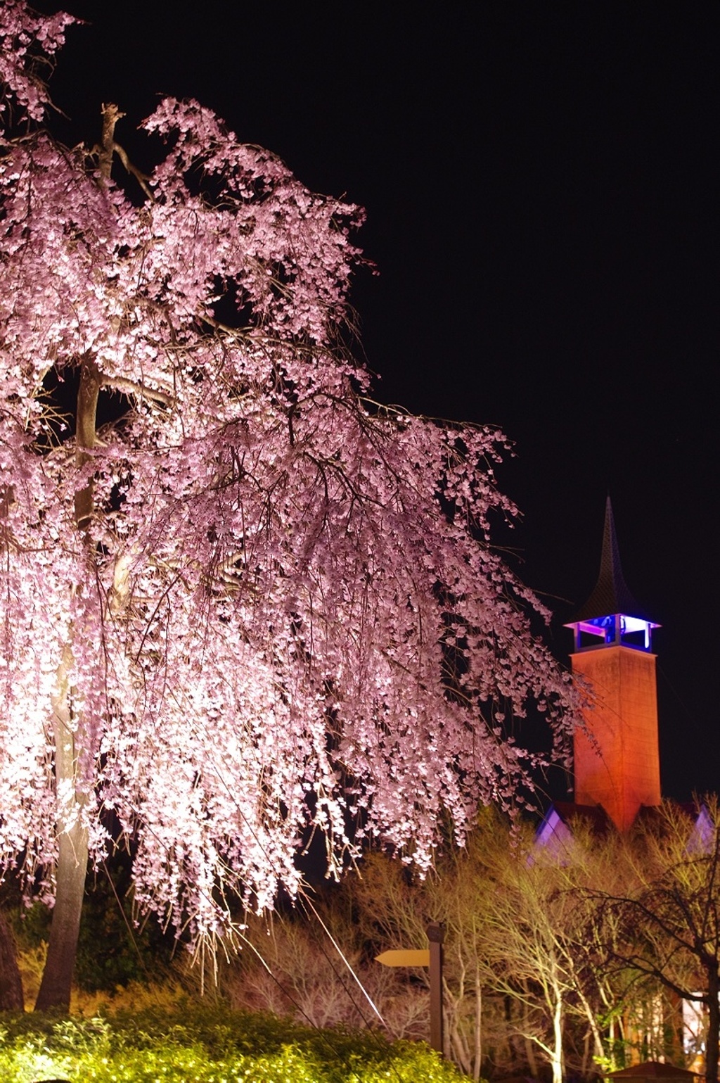 ROSE CHAPEL