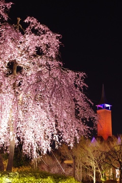 ROSE CHAPEL