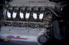 Ｖ６　In-Mani　（ALFA 3.0 V6 24）