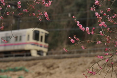 京王線～