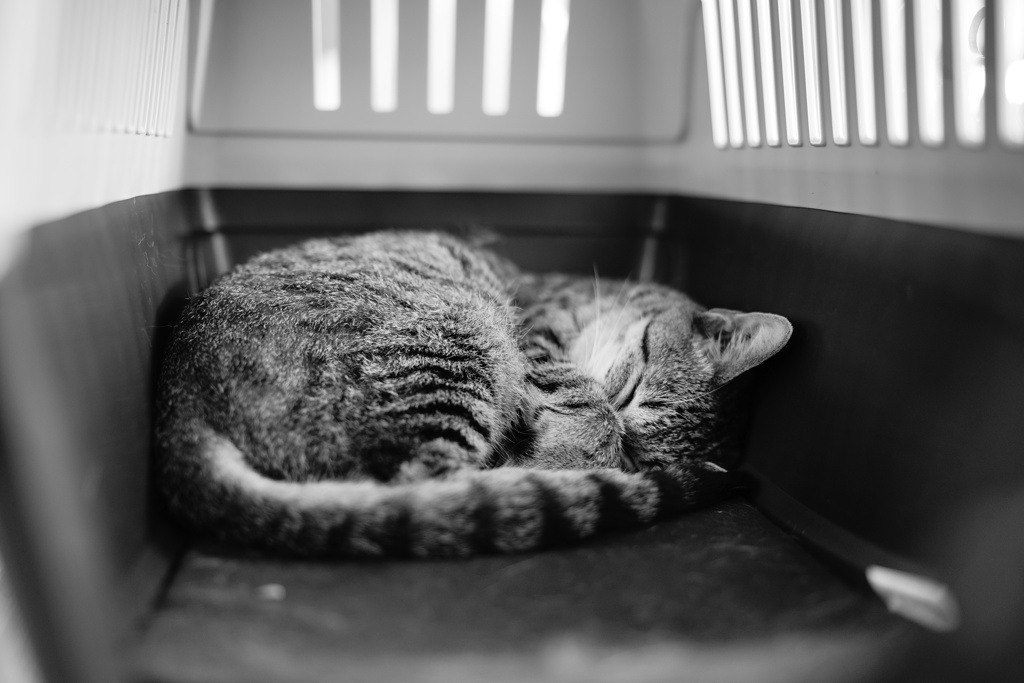 眠しー２