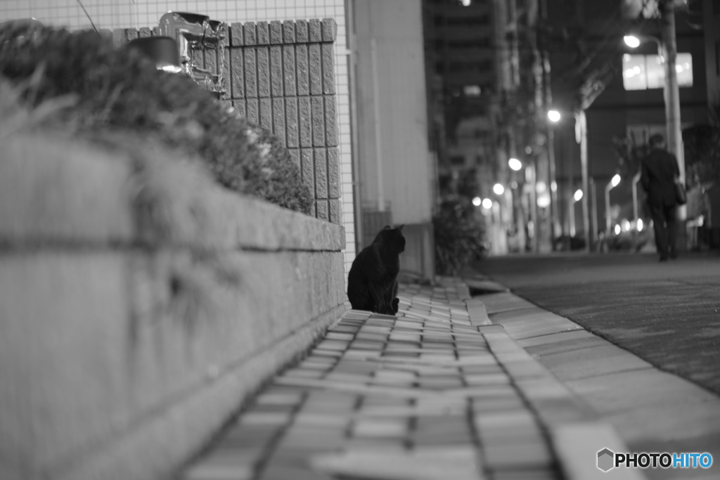 寒さの中、、、