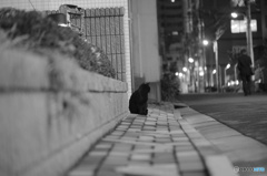 寒さの中、、、