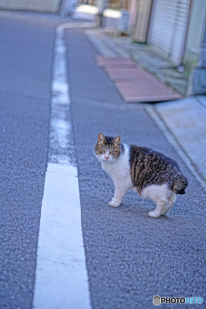 ハッ！！！