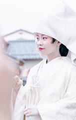 狐のお嫁様