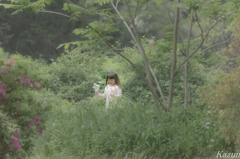 フェアリー