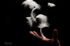 Angel's Feather!