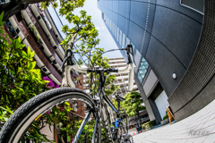 試写～　自転車カッコエエ～