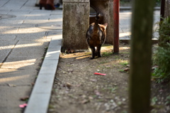 オチリ丸見え