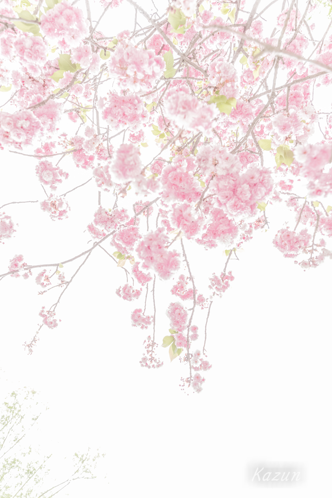 まばゆき時間