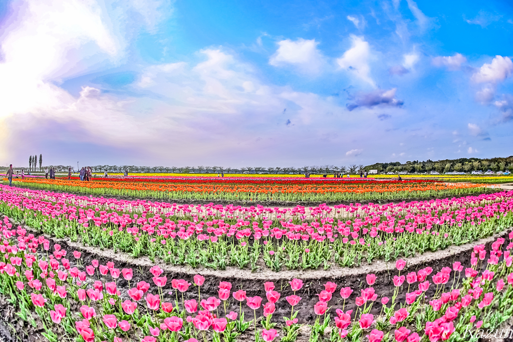 御花畑