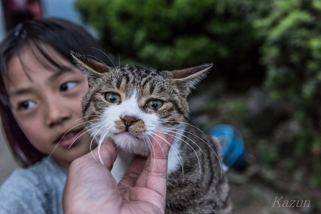 猫好きガール♪