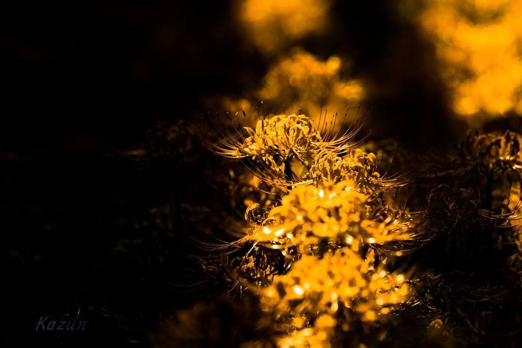 Yellow drive!