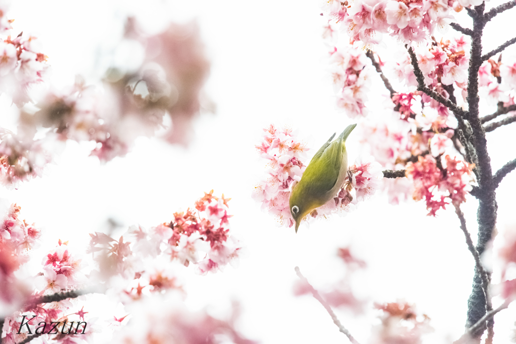 真下へ～☆