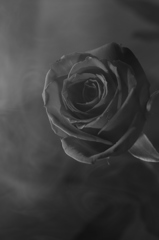 DARK ！