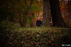 紅葉魔女の後ろ姿