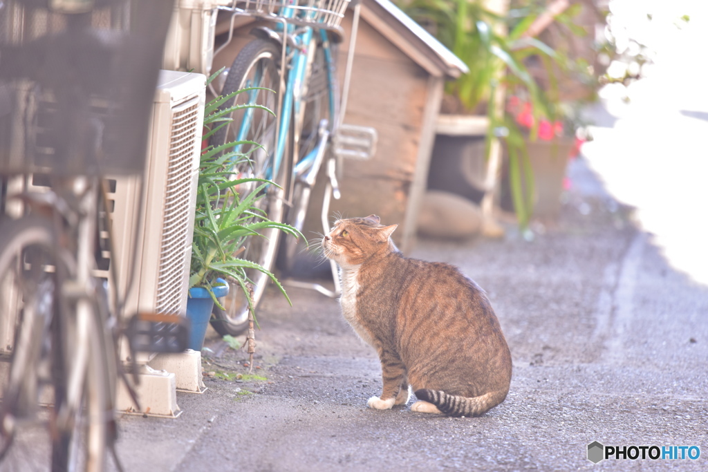 想う