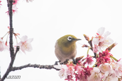 ンフン！☆
