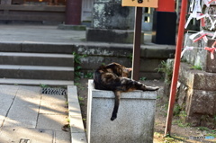 デローン
