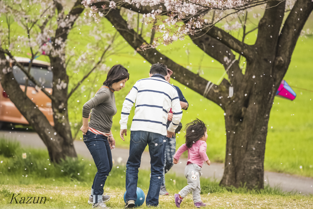 桜舞うなかで