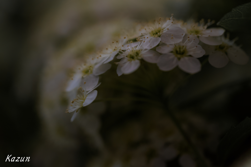 Mini flower