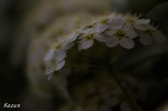 Mini flower