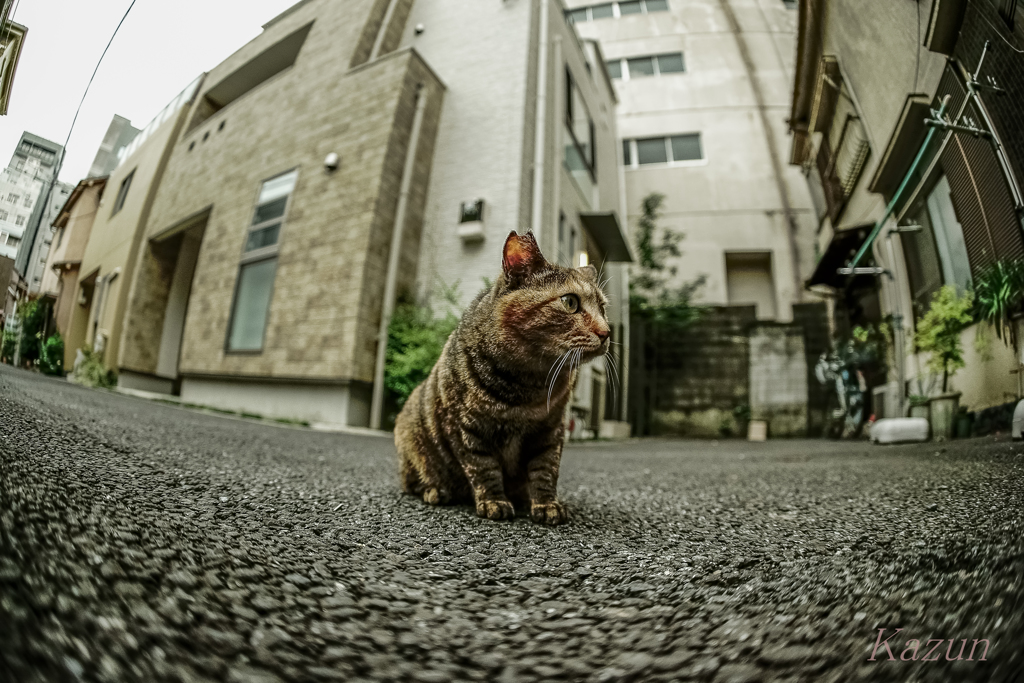 何を見つめるの？？？