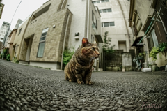 何を見つめるの？？？