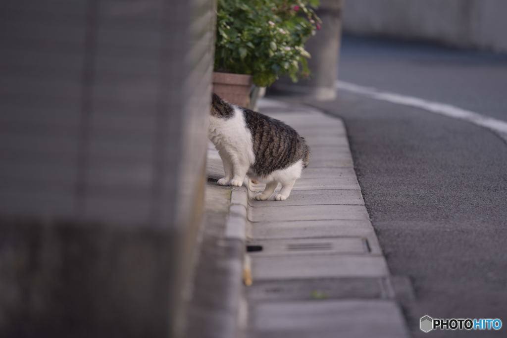 気になる～