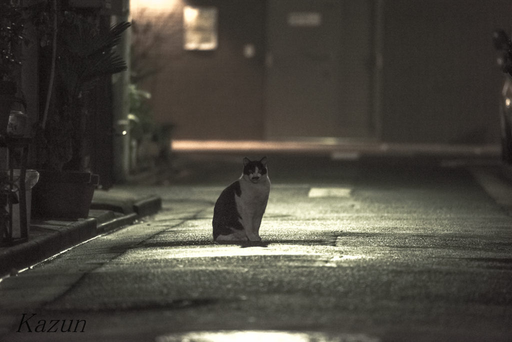 雨上がりの日