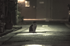 雨上がりの日
