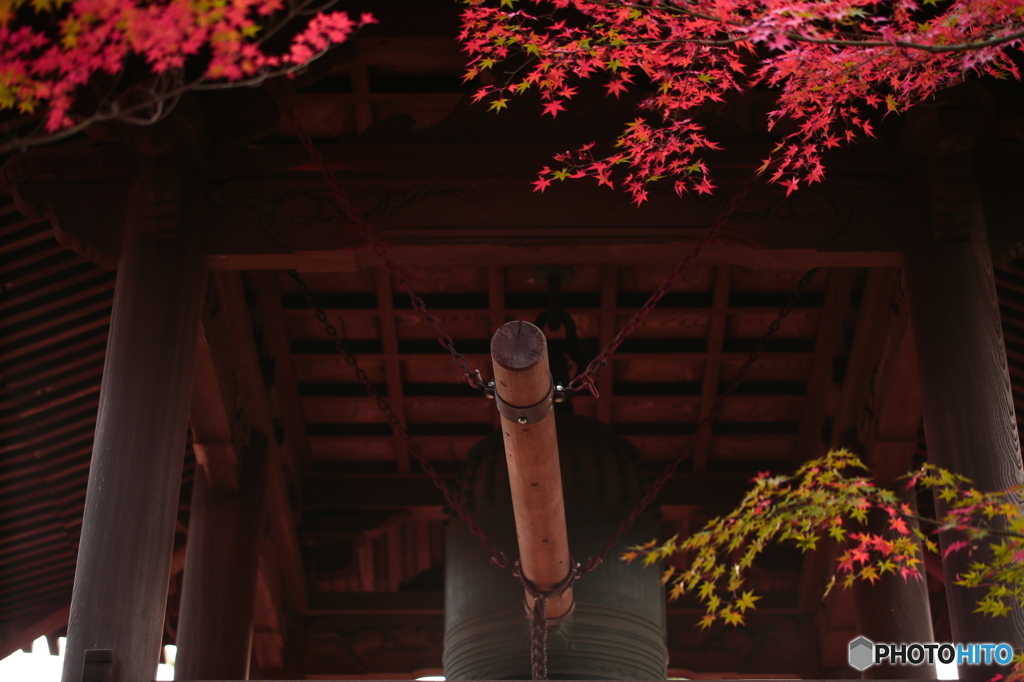 ゴーン～～