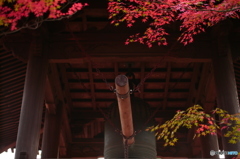 ゴーン～～