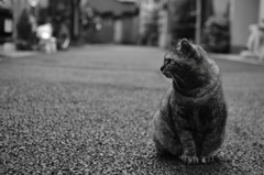 耽る