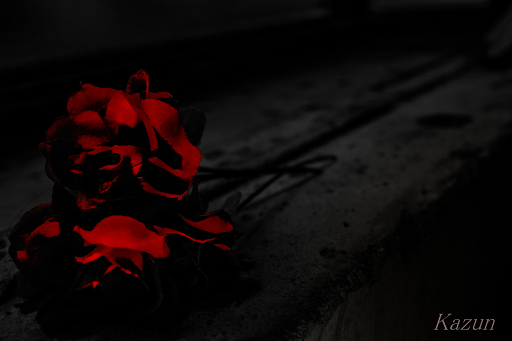 My bloody valentine's day -again-