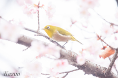 キョトン！(*゜▽゜)(*゜▽゜)(*゜▽゜)