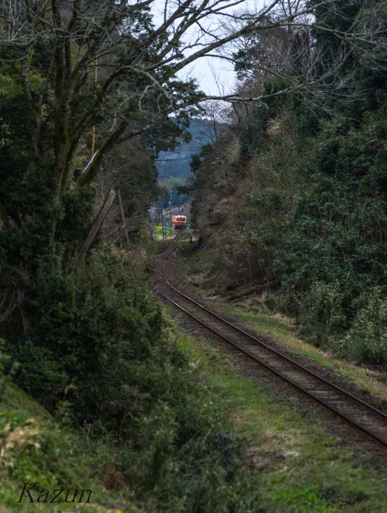 ナンカシパーーイ・・・　小湊鉄道