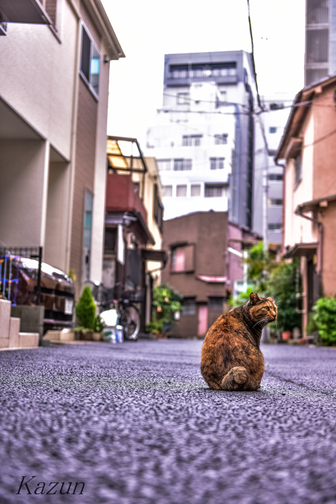 え？？
