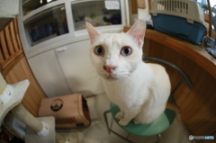 椅子に座る